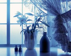 Tapeta Nature Flowers 212.jpg